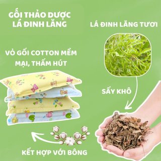 Gối đinh lăng thảo dược cho bé 3 size