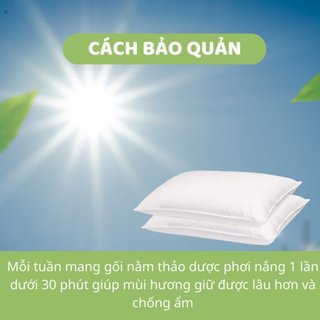 Gối đinh lăng thảo dược cho bé 3 size