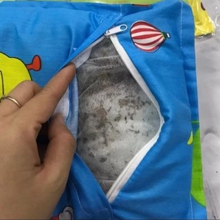 Gối đinh lăng thảo dược cho bé 3 size