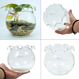 Chậu thủy tinh mini nuôi cá, bể cá mini để bàn