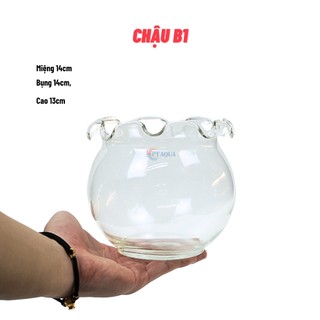 Chậu thủy tinh mini nuôi cá, bể cá mini để bàn