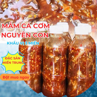  Mắm cá cơm nguyên con nhà làm   Mắm cái cá cơm Đặc Sản Khánh Hòa  Nha Trang  