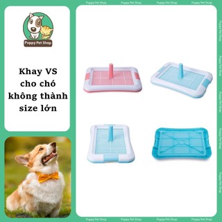 Khay Vệ Vệ Sinh Cho Chó Nhiều Size