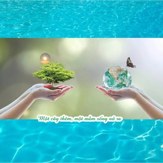 Lòng nồi cơm điện 0.8 L SIÊU DẦY chống dính màu Đen, ngoài mạ Đồng diệt khuẩn, nặng 255 gr