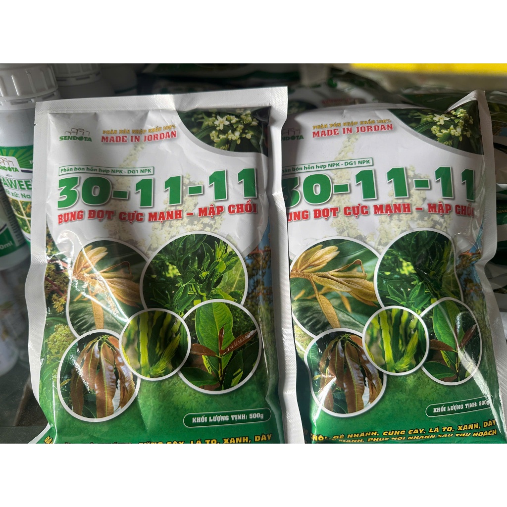 30-11-11 BUNG ĐỌT CỰC MẠNH -MẬP CHỒI