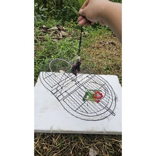 mẹt bẫy chòe than,  chòe lửa, chào mào bằng thép, đã làm hoàn chỉnh chỉ việc sử dụng