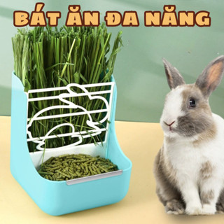 Bát ăn đa năng cỡ lớn cho Bọ ú (Chuột Lang), Hamster, Thỏ Cảnh khay ngăn cỏ cỡ lớn cao cấp
