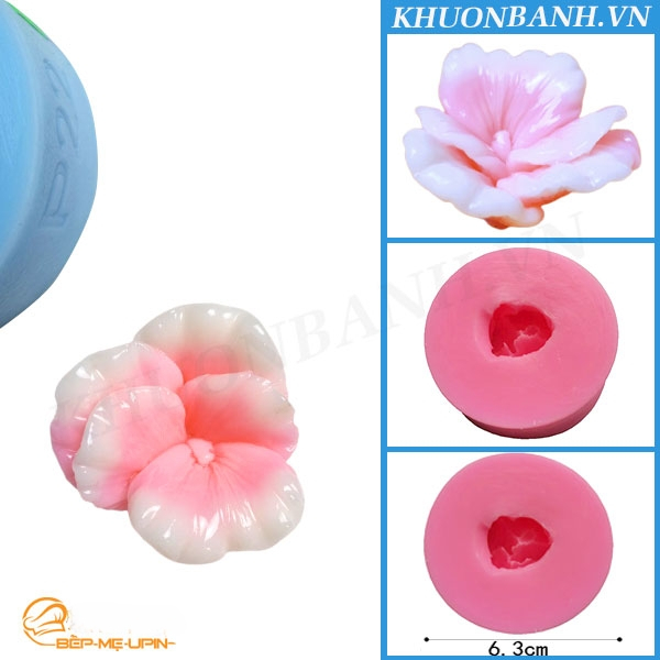 Khuôn hoa silicon khuôn rau câu mã P22 khuôn hoa lan