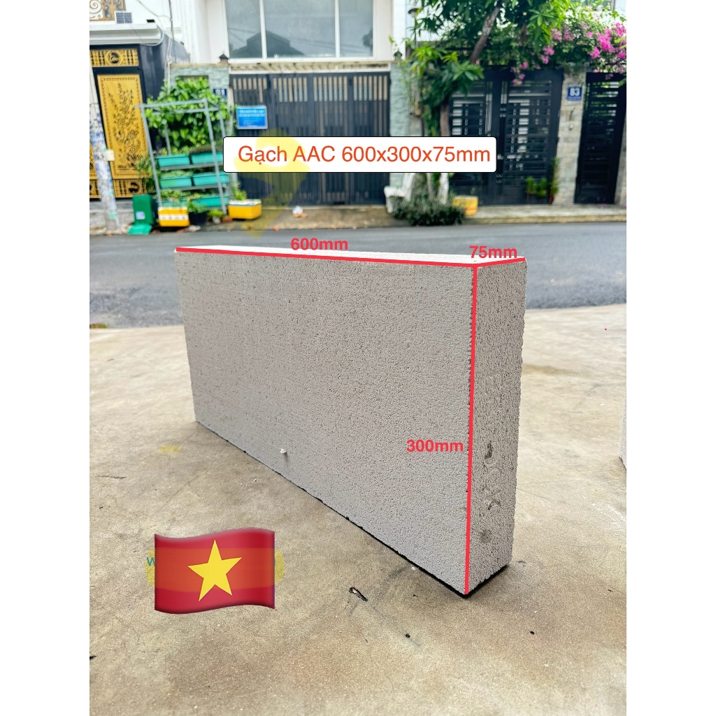 Gạch bê tông khí chưng áp AAC, Gạch AAC, Eblock, KT 600x200x75mm