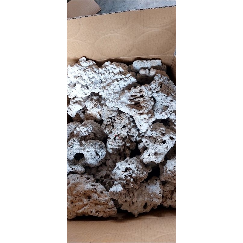 San Hô LAYOUT , SAN HÔ XẾP LAYOUT BỂ THỦY SINH, SAN HÔ TRẮNG SẠCH. HÌNH SHOP TỰ CHỤP..