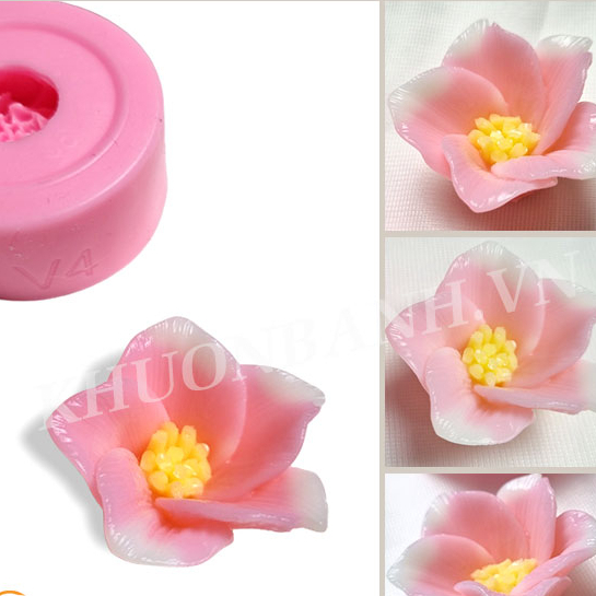 Khuôn hoa làm rau câu silicon khuôn hoa v4