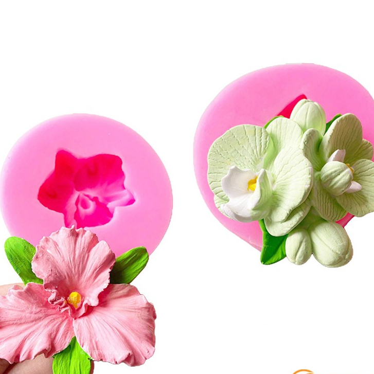 Khuôn hoa lan khuôn silicon chùm hoa lan