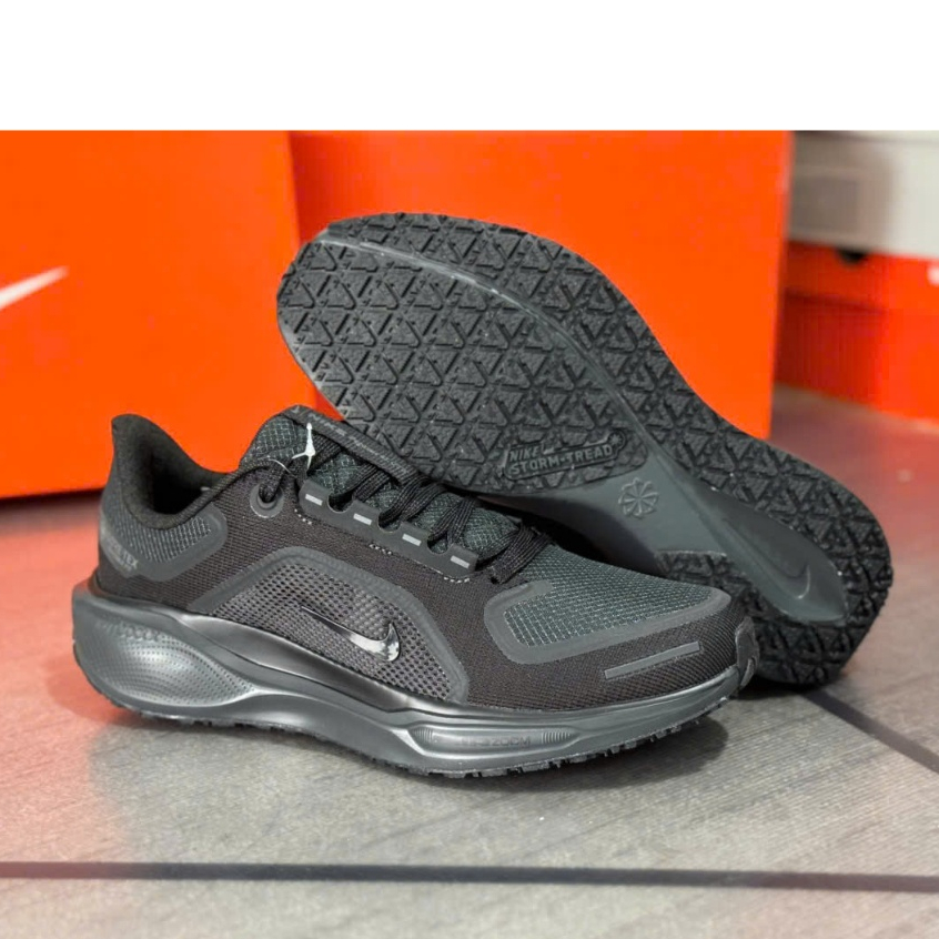 Giày N. Pegasus 41 GTX Nam  /Fullbox ( Giày Đi Bộ -Chạy Bộ)