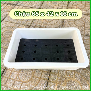 ( COMBO 2 CÁI ) Khay Chậu Nhựa Trồng Rau Thông Minh, Trồng Hoa, Hình Chữ Nhật 64x42x16