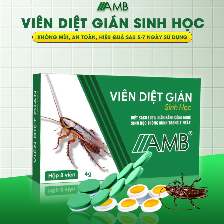 Thuốc diệt gián sinh học AMB, Viện Hàn lâm khoa học Việt Nam, diệt tận gốc tất cả các loại gián, hiệu quả, an toàn.