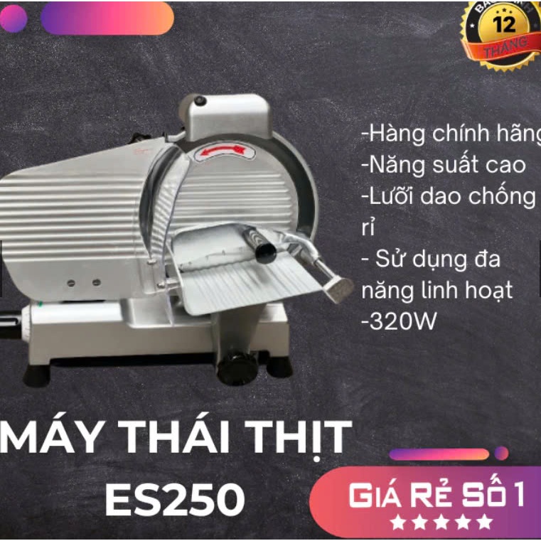 [CÔNG SUẤT LỚN] Máy thái thịt đông lạnh ES250, máy thái thịt quay ES 250 - Inox