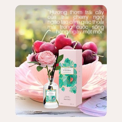 Tinh Dầu Khuếch Tán Black Cherry DAILY COMMA Camelia 250ml