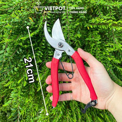 Kéo cắt cành Vietpot, dài 21cm, tỉa cành, cây hoa, làm vườn, trợ lực tay, hiện đại, có khóa gài.