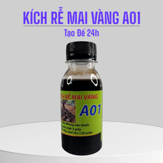 Kích Rễ Mai Vàng A01 ( Chuyên giâm cành mai vàng, Tạo đế 24H )