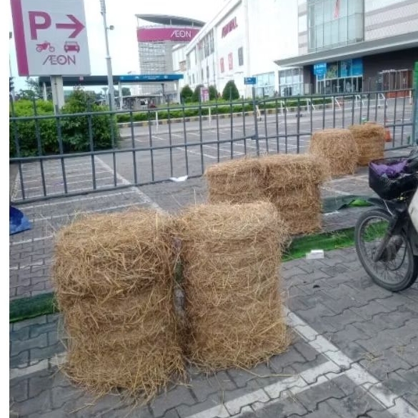 rơm cuộn, rơm khô trang trí.