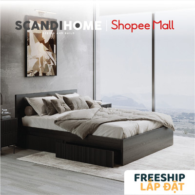 VERTICA, Giường ngủ 2 hộc tủ kéo BED_158, 207x35cm, Giường ngủ gỗ Scandi Home