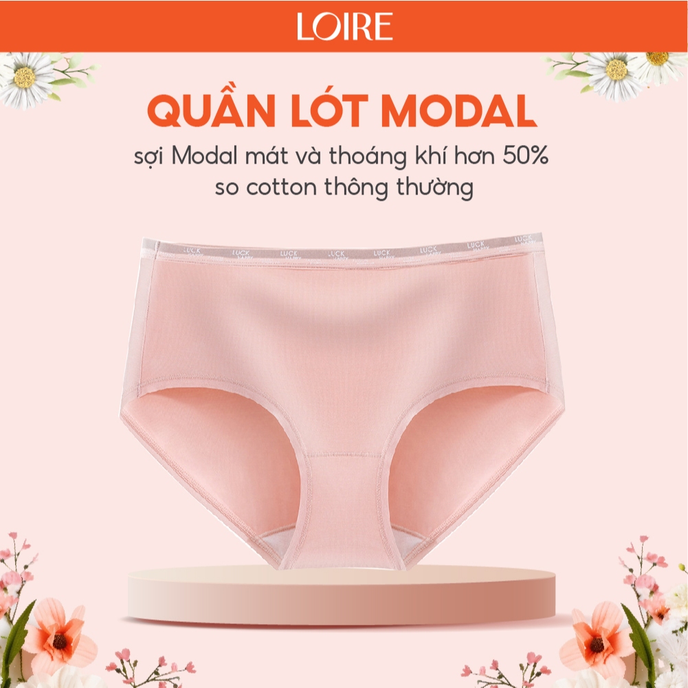 Quần Lót Modal Cạp Cao Loirechic QLBR80