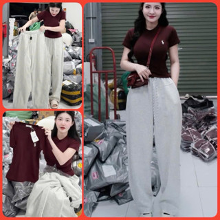 Set Bộ Đồ Nữ . Set Bộ Áo Thun Ôm Body Thêu Ngựa Co Giãn Mix Quần Ống Suông Trơn Chất Liệu Cotton