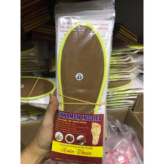 Lót Giày Hương Quế Tự Nhiên, Lót Giày Khử Mùi Hôi Đủ Size Nam Nữ