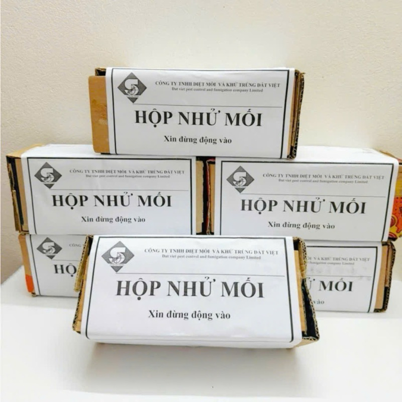 Hộp Nhử Mối