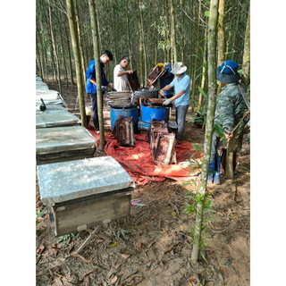 1Lít Mật Ong Rừng Đa Hoa Chuẩn