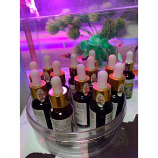  nước sổ giun sán chim cảnh 