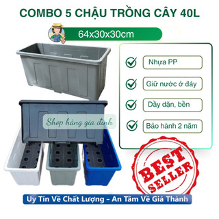 SET 5 chậu trồng cây 40L,chậu trồng hoa ban công, chậu trồng rau bền đẹp kích thước 64x30x30cm 4 mầu
