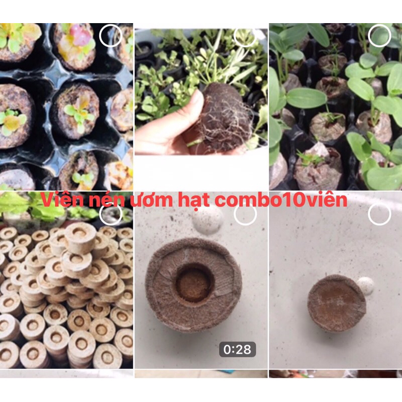 Viên nén ươm hạt ,viên nén xơ dừa  viên nén ươm cây viên né combo 10 viên 50 viên