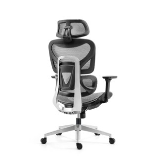 Ghế công thái học One Chair VGL301 khung hợp kim nhôm, lưới Wintex cao cấp