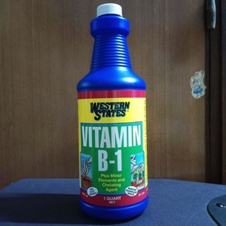 1 CHAI PHÂN BÓN VITAMIN B1 WESTERN STATES NHẬP KHẨU MỸ CHAI 946ML- VITAMIN B1 MỸ