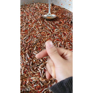 Mắm cá cơm gia vị-Đặc sản