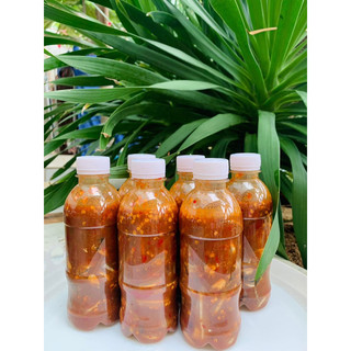 Mắm cá cơm gia vị-Đặc sản