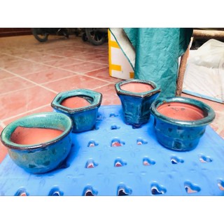 Set 5 Chậu hoả biến mini ( giao mẫu ngẫu nhiên nha cả nhà )