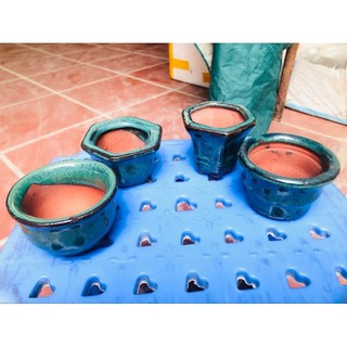 Set 5 Chậu hoả biến mini ( giao mẫu ngẫu nhiên nha cả nhà )