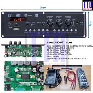 Bộ mạch DIY karaoke mini reverb DSP 2 kênh riêng biệt 30W - V215G