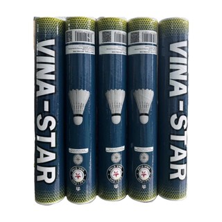 [ HỎA TỐC ] Ống 12 trái cầu VINASTAR XANH THAN loại 3 dùng tập luyện
