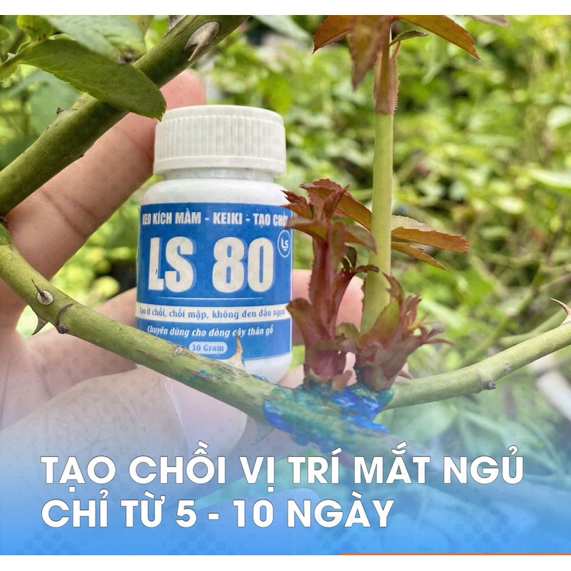 Keo kích chồi ls 80 hũ 30gr