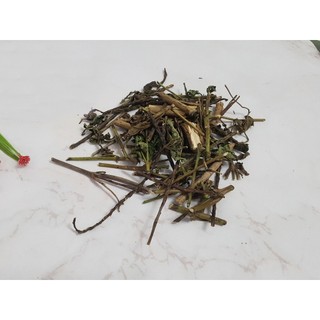 Cỏ Đuôi Chuột 1Kg - Thảo Dược Thanh Bình