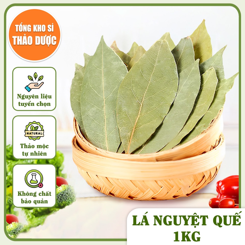 Lá nguyệt quế 1kg, lá thơm bay leaf, gia vị nấu ăn, trang trí, xông nhà, khử mùi, tốt cho tiêu hóa