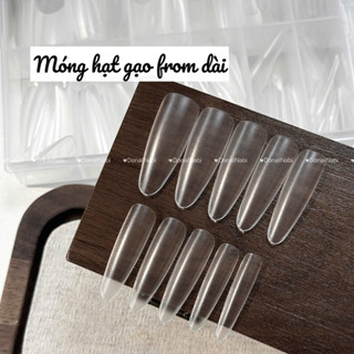  Móng úp hạt gạo siêu dài  nhọn tròn ngắn  hạt na  móng vuông siêu dài 600 psc 