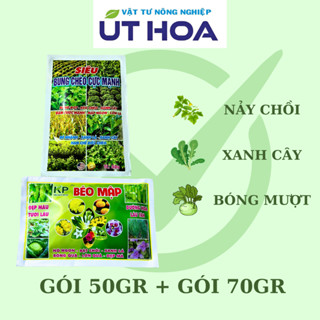  Bộ Đôi Siêu BUNG CHÈO XANH + BÉO MẬP Cho Hoa Kiểng - Xanh cây mướt lá mập thân 