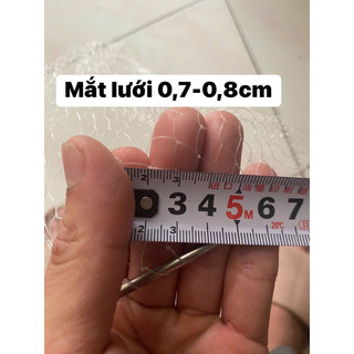 Vợt lưới khung inox.( mắt lưới 0,7cm )