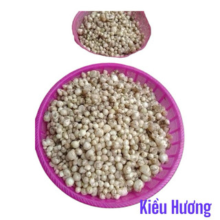 Hành tăm xứ Nghệ vào vụ giá rẻ tại vườn 1kg