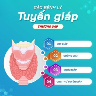 KEM ĐÔNG Y CỔ TRUYỀN TAN RÃ U TUYẾN GIÁP SENJOKO NHẬT BẢN 50GR GIẢM TÌNH TRẠNG SƯNG ĐAU KHÓ NUỐT, CẢI THIỆN BƯỚU CỔ| Mos