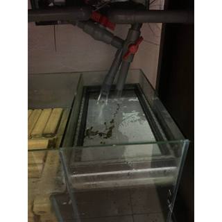 Khay tách phân bể cá. Lưới inox 304